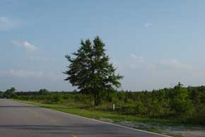 Tract 5