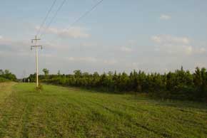 Tract 7