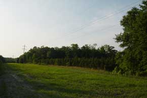 Tract 8