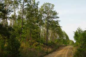 Tract 9