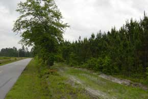 Tract 26