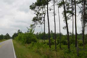 Tract 28