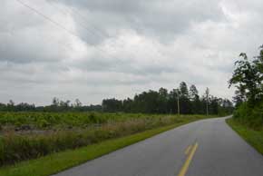 Tract 29