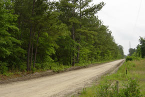 Tract 51