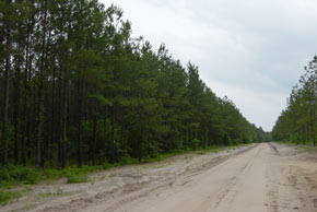 Tract 52