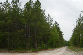 Tract 54