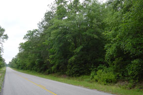 Tract 58