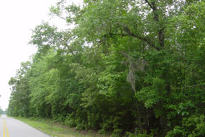 Tract 59