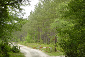 Tract 60