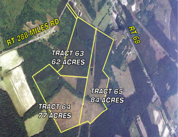 Aerial Harrison - Early