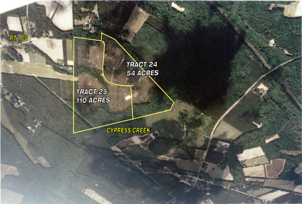 Aerial - Cleland