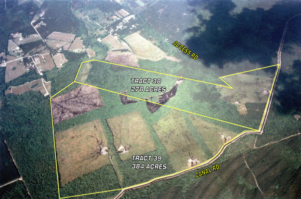Aerial - Cypresswoods