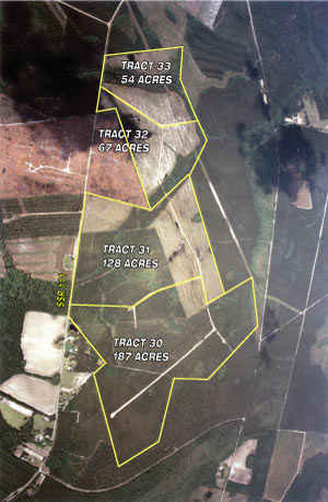 Aerial - Rentz
