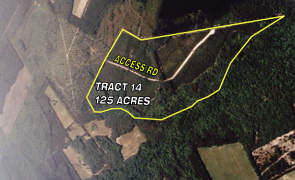 Aerial - Tennant