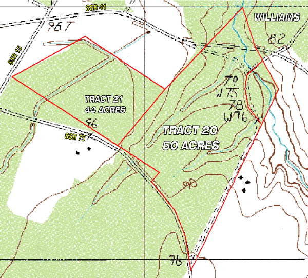 Topo Map - Williams
